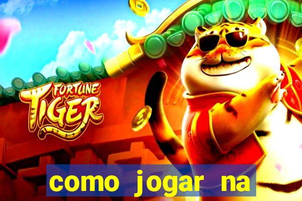 como jogar na teimosinha da lotofacil